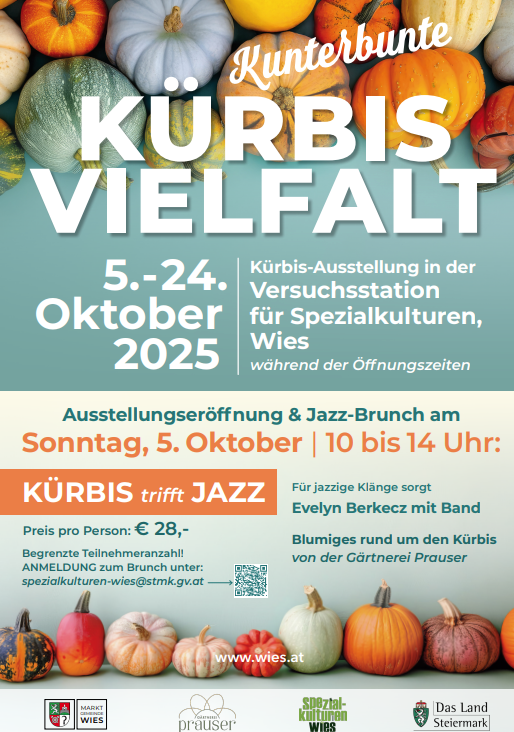 Kürbisvielfalt 