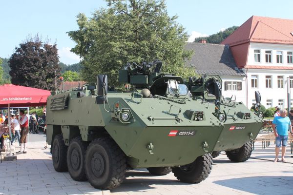 Angelobung osterr. Bundesheer 1189