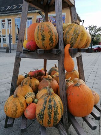 Kurbis Ernte und Dekoration Ortskern Wies21
