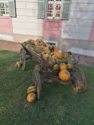 IMG 20230912 165051