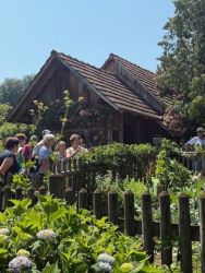 blumenschmuckfahrt 2025