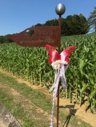 blumenschmuckfahrt 2025