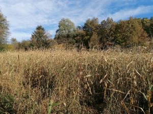 wanderung am nationalfeiertag 2023