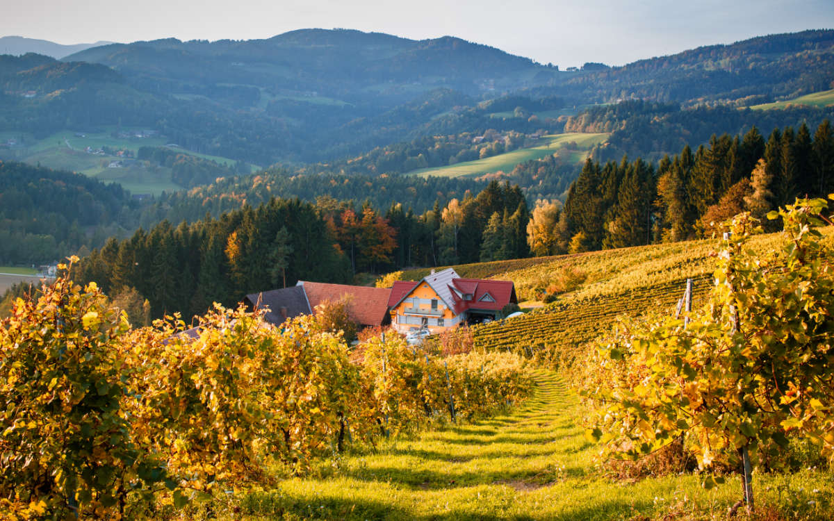 weingut pauritsch